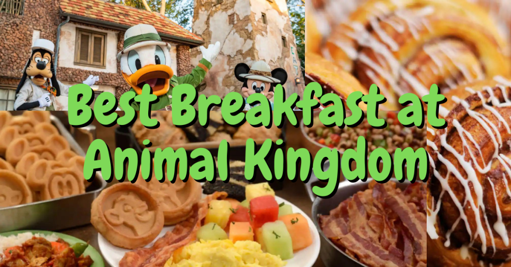 Best Breakfast at Animal Kingdom Vacation Fun 4 Everyone