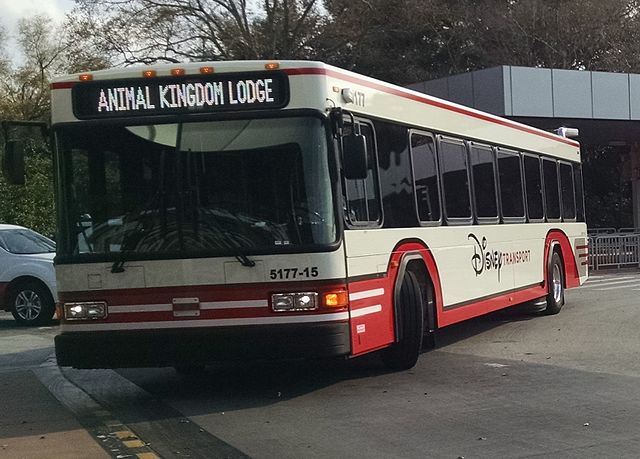 Disney Transport Bus heading to Animal Kingdom Lodge. Red and White Bus with Digital Display reading 'Animal Kingdom Lodge'