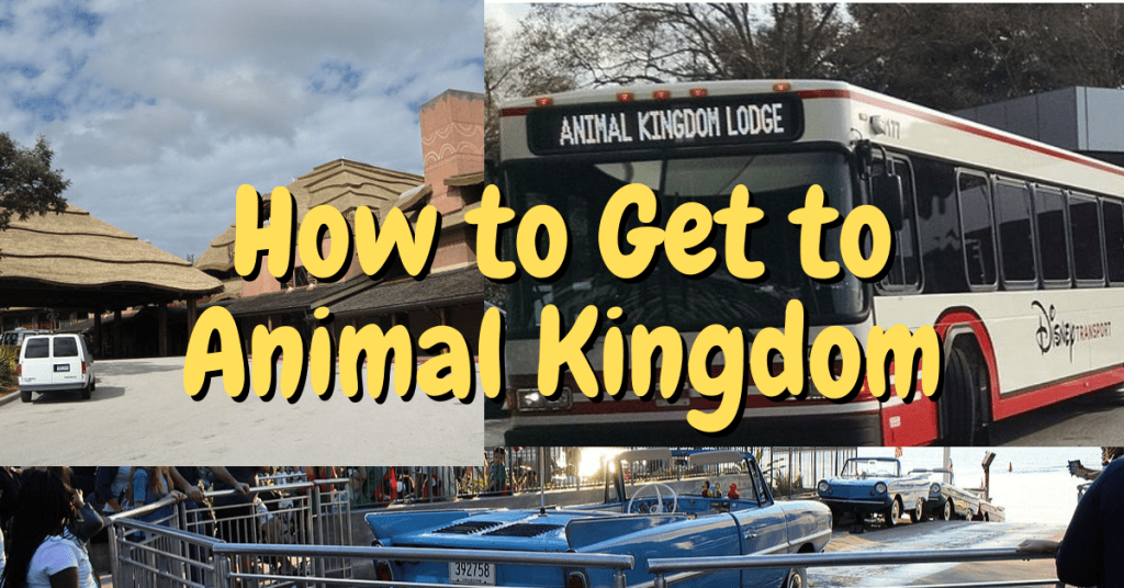 How to Get to Animal Kingdom